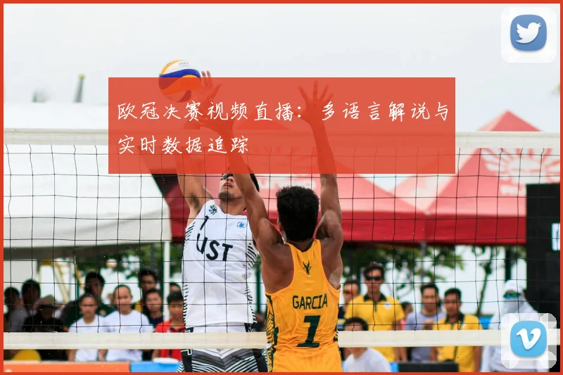 欧冠决赛视频直播：多语言解说与实时数据追踪