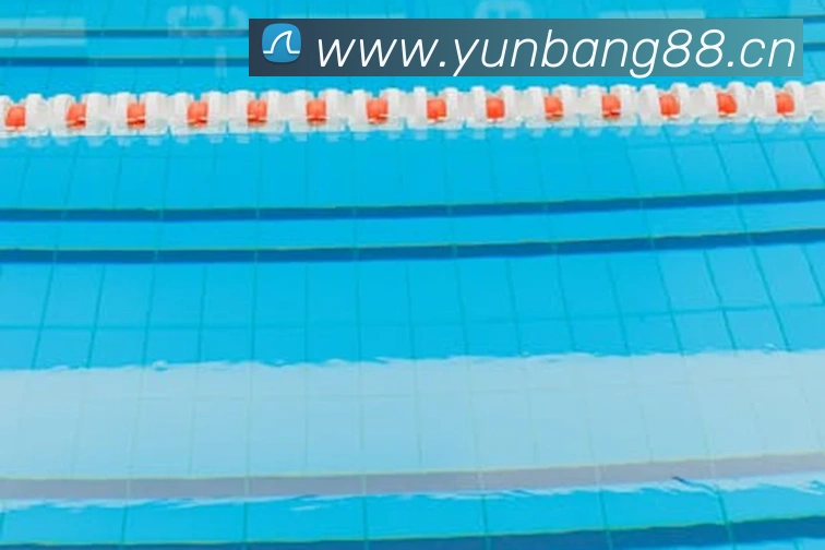 App Interface Preview